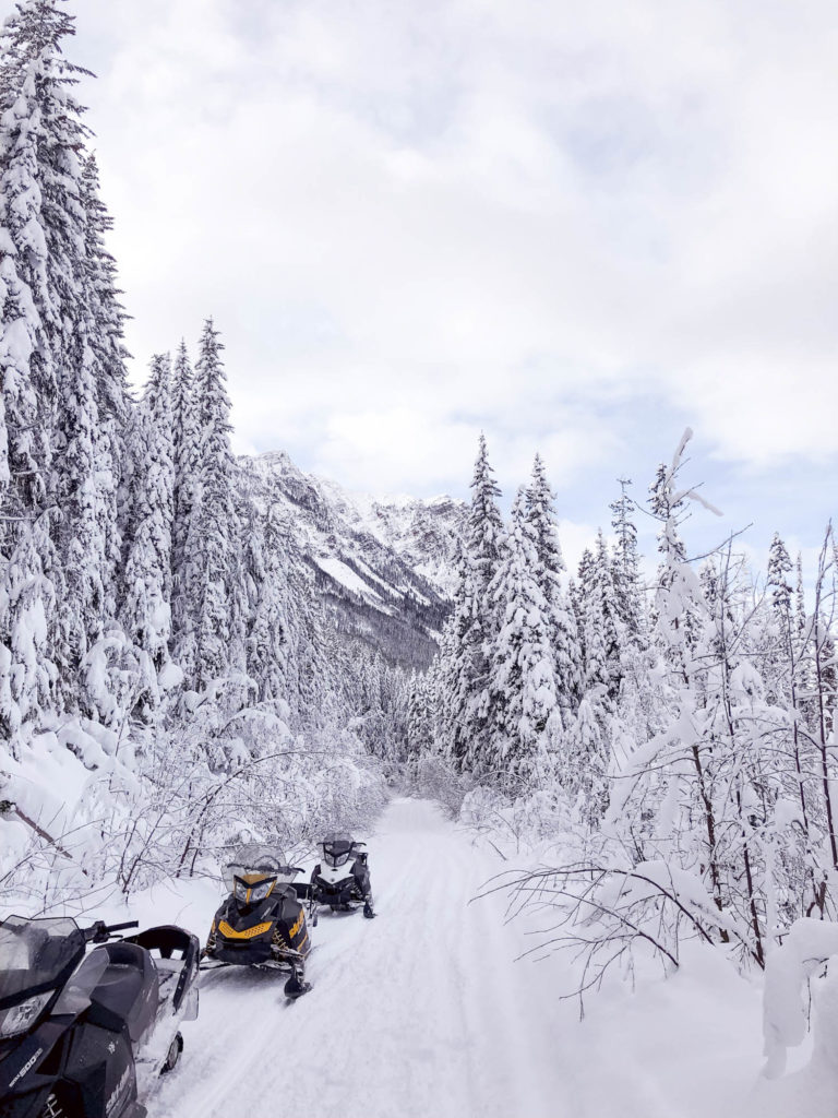Backcountry Snowmobiling with Rocky Mountain Riders