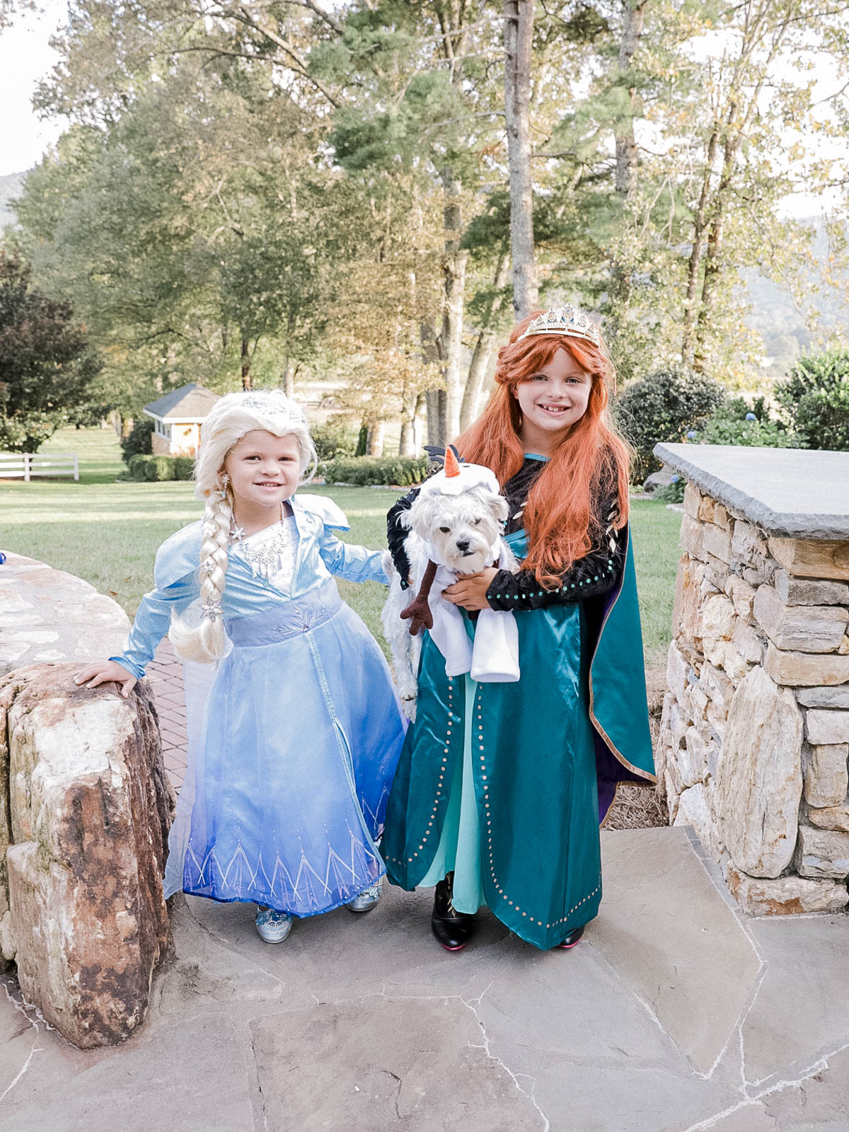 Girls in their Elsa and Anna from Frozen Costumes. 